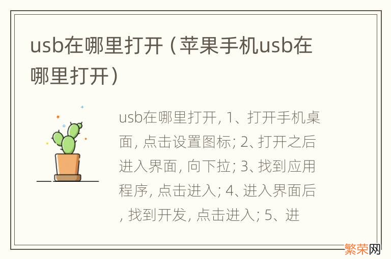 苹果手机usb在哪里打开 usb在哪里打开