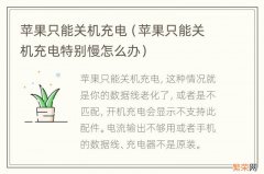 苹果只能关机充电特别慢怎么办 苹果只能关机充电