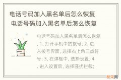 电话号码加入黑名单后怎么恢复 电话号码加入黑名单后怎么恢复0ppp手机