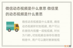 微信动态视频是什么意思 微信里的动态视频是什么意思