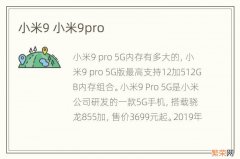 小米9 小米9pro