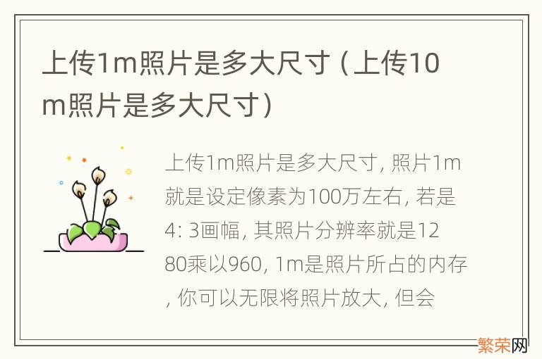 上传10m照片是多大尺寸 上传1m照片是多大尺寸