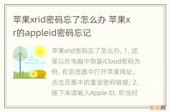 苹果xrid密码忘了怎么办 苹果xr的appleid密码忘记