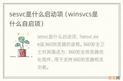 winsvcs是什么自启项 sesvc是什么启动项