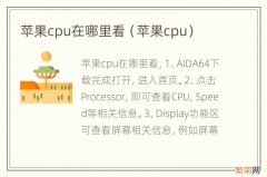 苹果cpu 苹果cpu在哪里看