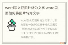 word怎么把图片转为文字 word里面如何将图片转为文字