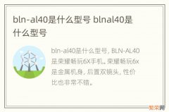 bln-al40是什么型号 blnal40是什么型号