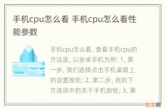 手机cpu怎么看 手机cpu怎么看性能参数