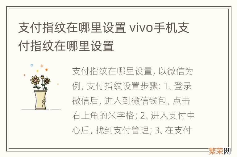 支付指纹在哪里设置 vivo手机支付指纹在哪里设置