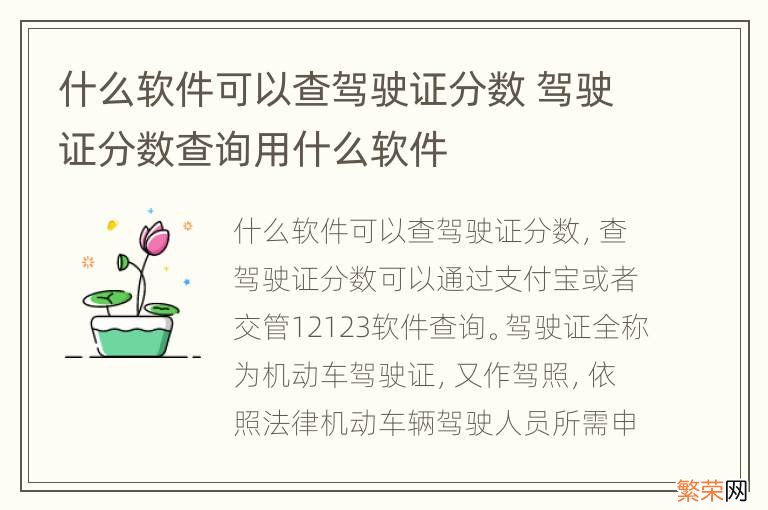 什么软件可以查驾驶证分数 驾驶证分数查询用什么软件