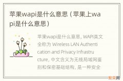 苹果上wapi是什么意思 苹果wapi是什么意思