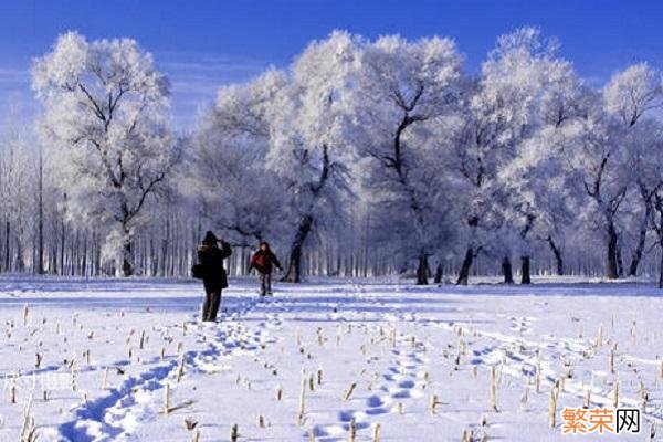 雪景旅游景点推荐 国内看雪景点排名