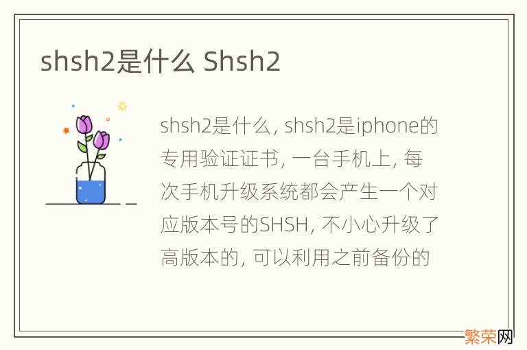 shsh2是什么 Shsh2