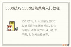 550d技巧 550d佳能菜鸟入门教程