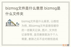 bizmsg文件是什么意思 bizmsg是什么文件夹