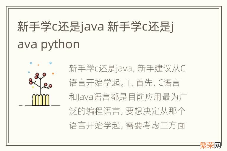 新手学c还是java 新手学c还是java python