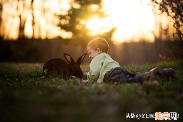 重生都市小说排行榜完结 都市小说排行榜完本前十名完结