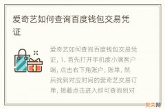 爱奇艺如何查询百度钱包交易凭证