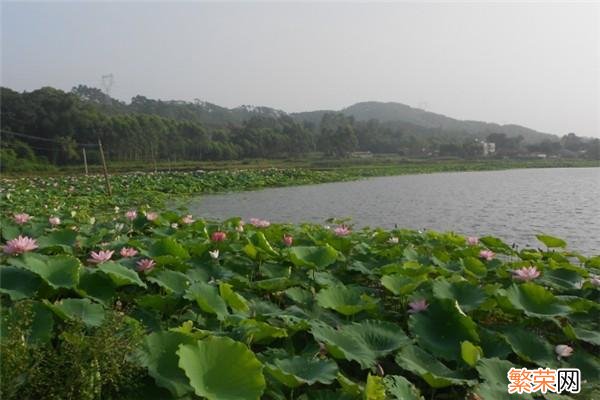 广西最值得去的16个旅游景点排名 北海市景点排名