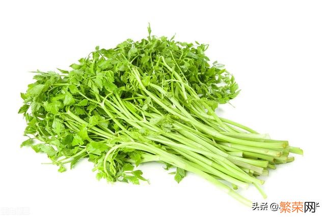 65种野菜图片大全 野菜的种类和图片大全