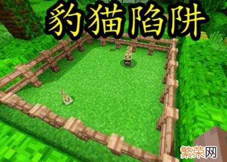 豹猫驯服调教技巧 我的世界豹猫怎么驯服调教