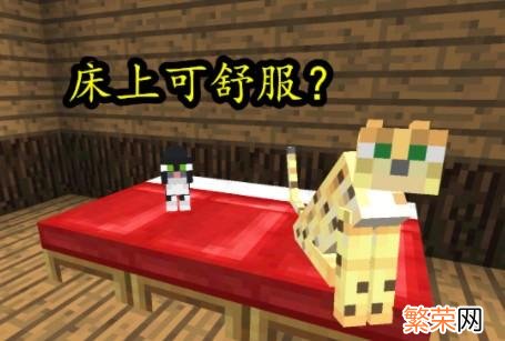 豹猫驯服调教技巧 我的世界豹猫怎么驯服调教