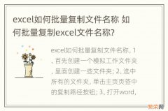 excel如何批量复制文件名称 如何批量复制excel文件名称?