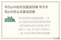 华为p30如何设置返回键 华为手机p30怎么设置返回键