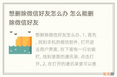 想删除微信好友怎么办 怎么能删除微信好友