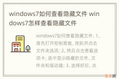 windows7如何查看隐藏文件 windows7怎样查看隐藏文件