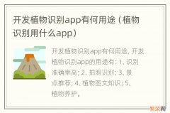 植物识别用什么app 开发植物识别app有何用途