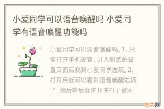 小爱同学可以语音唤醒吗 小爱同学有语音唤醒功能吗