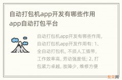 自动打包机app开发有哪些作用 app自动打包平台