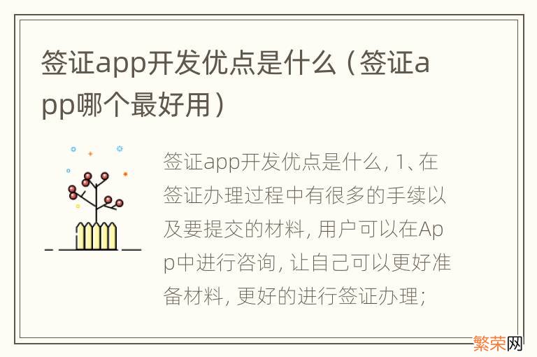 签证app哪个最好用 签证app开发优点是什么