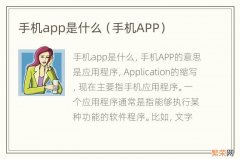 手机APP 手机app是什么