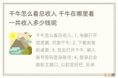 千牛怎么看总收入 千牛在哪里看一共收入多少钱呢