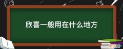 欣喜什么? 欣喜一般用在什么地方