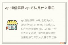 api通俗解释 api方法是什么意思