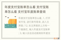 年度支付宝账单怎么看 支付宝账单怎么看 支付宝年度账单查询