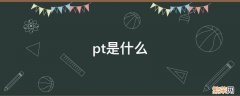 pt是什么职位 pt是什么