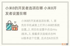 小米8的开发者选项在哪 小米8开发者设置在哪