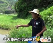 熟的福寿螺和田螺的区别 福寿螺和田螺的区别分辨