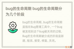 bug的生命周期 bug的生命周期分为几个阶段