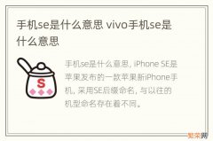 手机se是什么意思 vivo手机se是什么意思