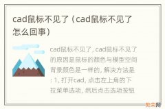 cad鼠标不见了怎么回事 cad鼠标不见了