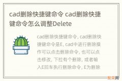 cad删除快捷键命令 cad删除快捷键命令怎么调整Delete