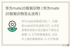 华为mate20智能识物怎么没有 华为mate20智能识物