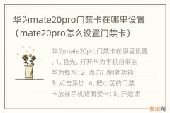 mate20pro怎么设置门禁卡 华为mate20pro门禁卡在哪里设置