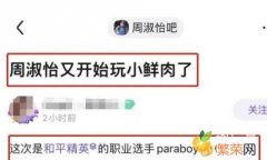 摄像头闹鬼事件 周淑怡311事件