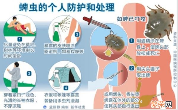 它们成了全世界长相最怪的虫子 世界上最恐怖的虫子